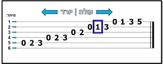 מיתר